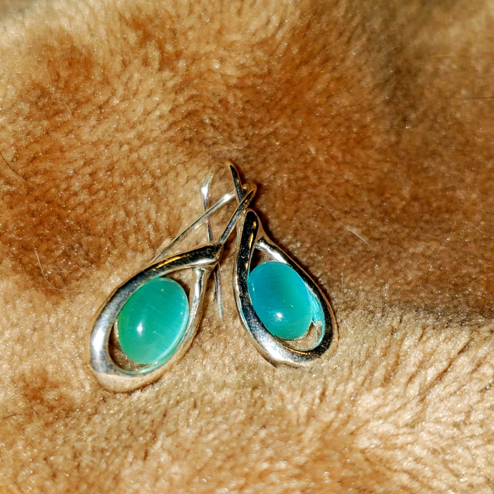 Blue earrings